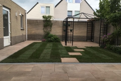 61086528_1162402303941709_478897920179961856_n